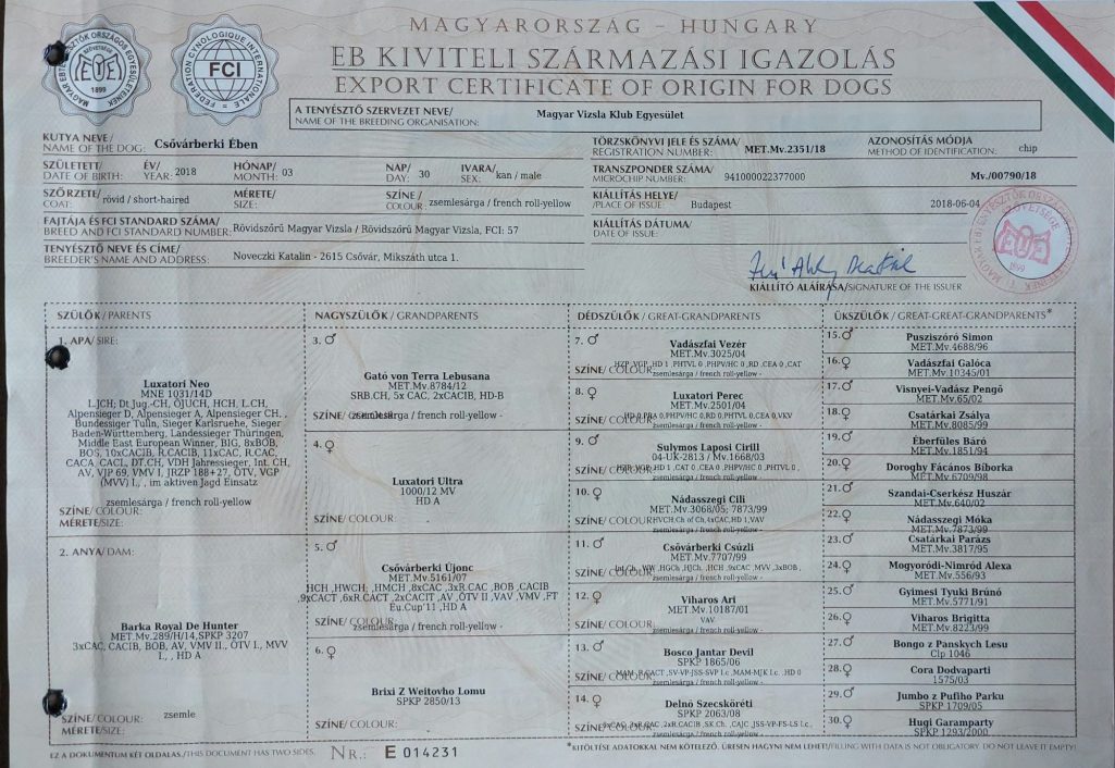 FCI Ahnentafel Magyar Vizsla Hier ist die Ahnentafel abgebildet von unserem Deckrüden